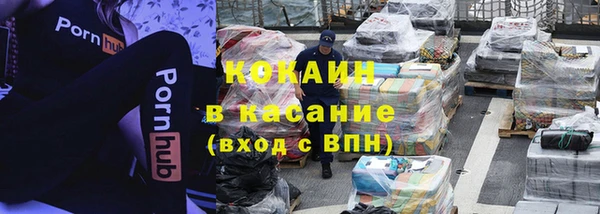 крисы Верея