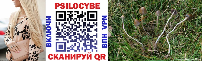 Купить где  Апшеронск  Галлюциногенные грибы Magic Shrooms 