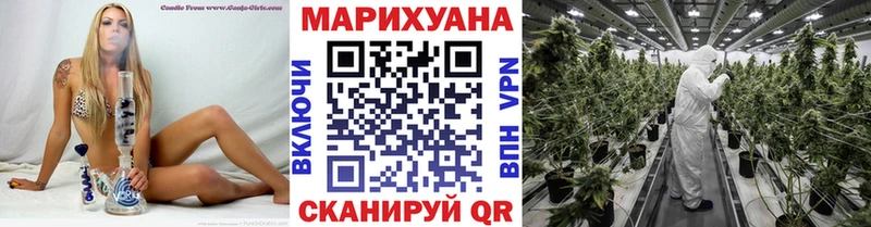 Купить где  Апшеронск  Канабис конопля 